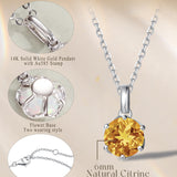 FANCIME „Everbloom“ 14 Karat Massives Weißgold November Geburtsstein Citrin Anhänger mit Sterlingsilberkette Halskette