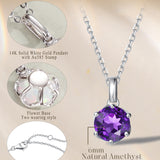 FANCIME „Everbloom“ Anhänger aus 14-karätigem Weißgold mit Amethyst-Geburtsstein und Sterlingsilberkette